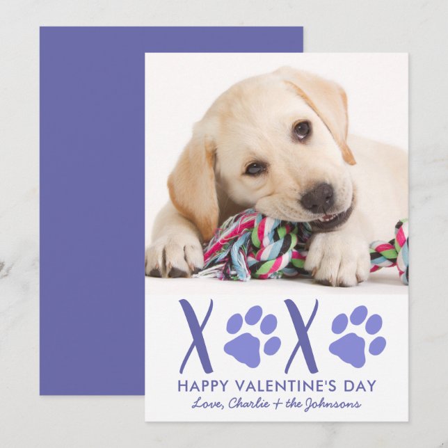 Tarjeta Festiva Día de San Valentín XOXO Mascota de cachorros (Anverso / Reverso)