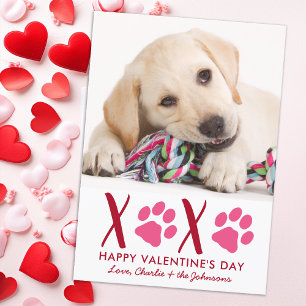 Tarjeta Festiva Día de San Valentín XOXO Mascota de cachorros