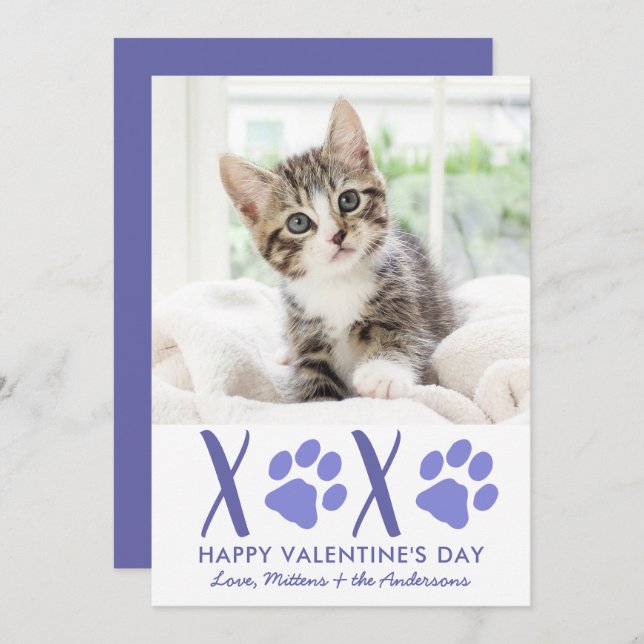 Tarjeta Festiva Día de San Valentín XOXO Mascota Gato Gatito Cute  (Anverso / Reverso)