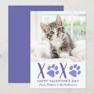 Tarjeta Festiva Día de San Valentín XOXO Mascota Gato Gatito Cute