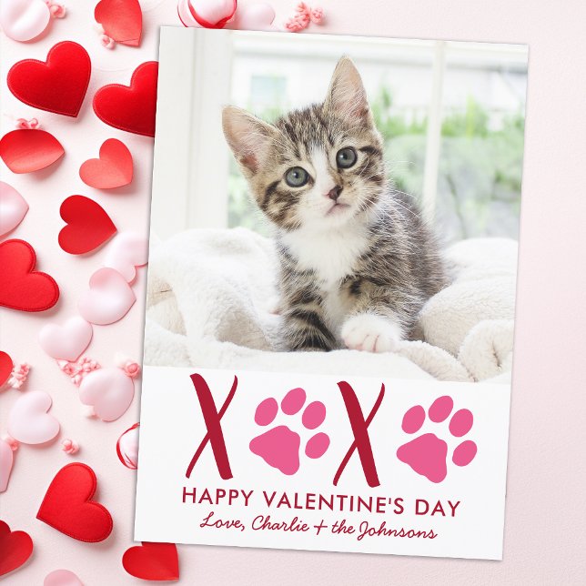Tarjeta Festiva Día de San Valentín XOXO Mascota Gato lindo (Subido por el creador)