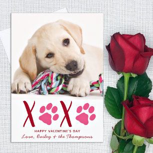 Tarjeta Festiva Día de San Valentín XOXO Mascota lindo Perro foto