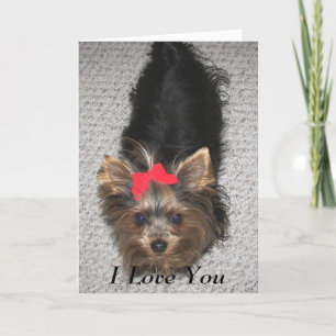 Tarjeta Festiva Día de San Valentín - Yorkie te amo