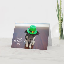 Día del perro Gorra irlandés St. Patrick