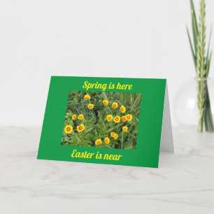 TARJETA FESTIVA DÍA ESPECIAL DE PRIMAVERA Y PASCUA PARA PERSONAS E