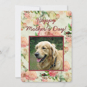Tarjeta Festiva Día feliz de madres o padres con foto de perro
