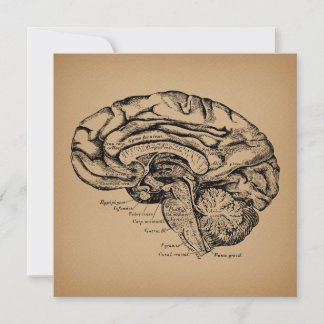 Tarjeta Festiva Diagrama del cerebro antiguo Anatomía médica arte