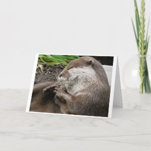 Tarjeta Festiva días de fiesta asombrosos Nutria-LY