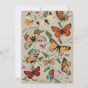 Tarjeta Festiva Dibujo de la Colección de Mariposas y Polillas de
