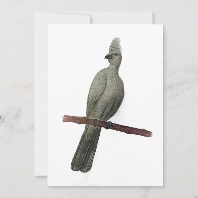 Tarjeta Festiva Dibujo de lápiz de ave de efecto gris (Anverso)