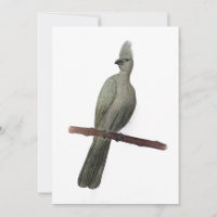 Dibujo de lápiz de ave de efecto gris