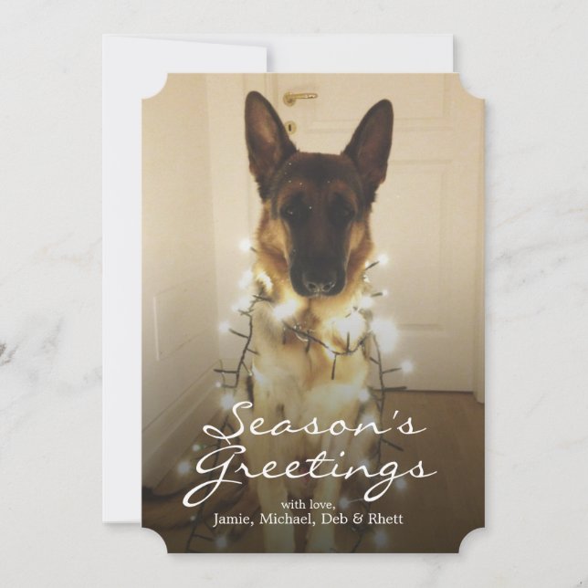 Tarjeta Festiva ¿Dijiste Santa Paws? (Anverso)