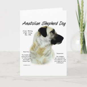 Tarjeta Festiva Diseño de Anatolia de la historia del perro de