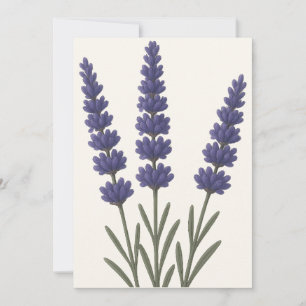 Tarjeta Festiva Diseño de arte botánico de lavanda clásico