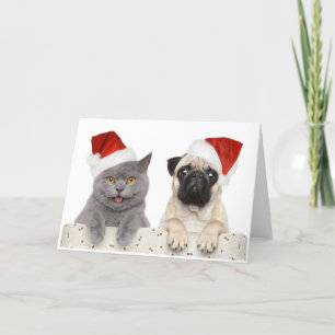 Tarjeta Festiva Diseño de gatos y Navidades chinos de peluche