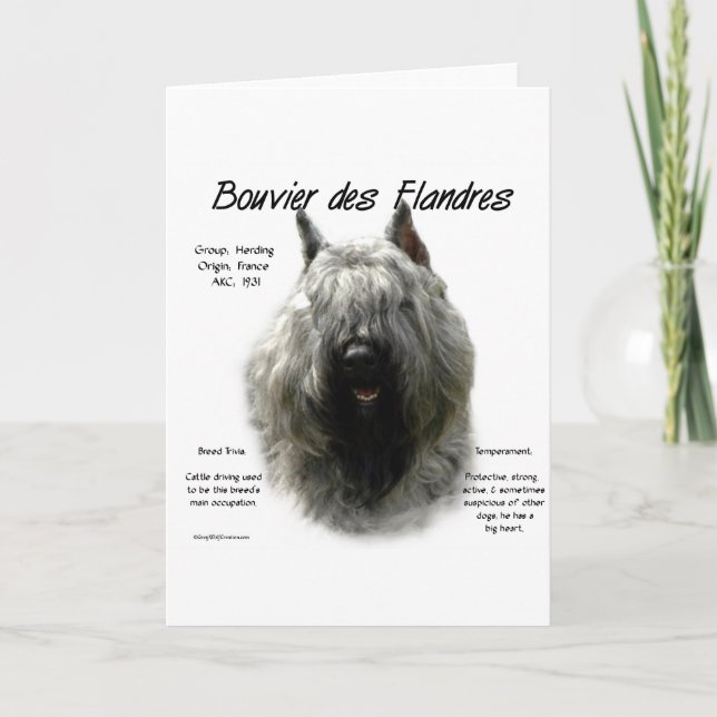 Tarjeta Festiva Diseño de historia Bouvier des Flandres (Anverso)