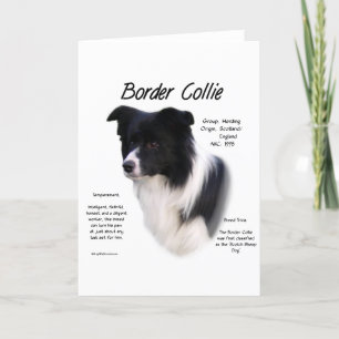 Tarjeta Festiva Diseño de historial de color de borde