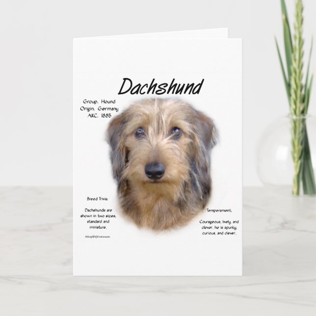 Tarjeta Festiva Diseño de historial de Dachshund (wirehair) (Anverso)