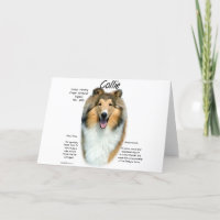 Diseño de la historia del collie (sable áspero)