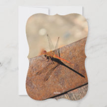 Diseño de libélula con marrón