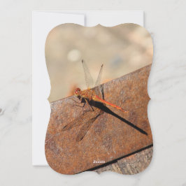 Tarjeta Festiva Diseño de libélula con marrón