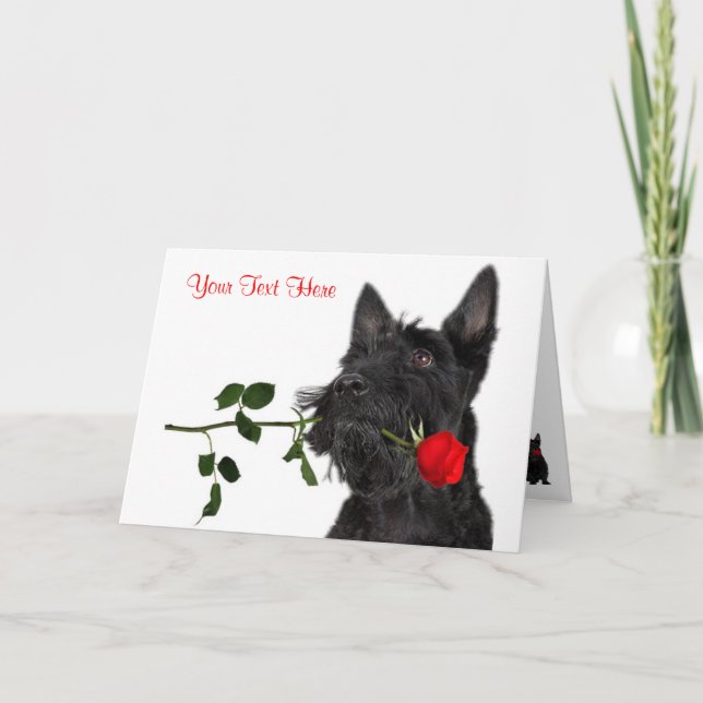 Tarjeta Festiva Diseño de San Valentín de Rosa Rojo y Terrier Esco (Anverso)