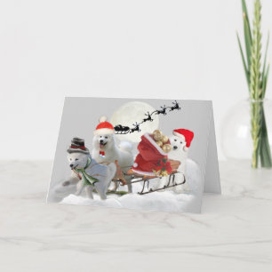 Tarjeta Festiva Diversión de Navidades Samoyed
