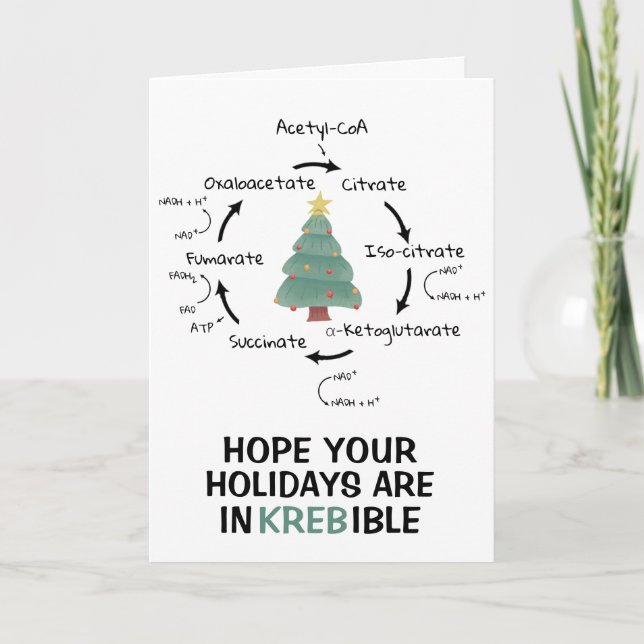 Tarjeta Festiva Diversión de profesor de Navidades de ciclo de Kre (Anverso)