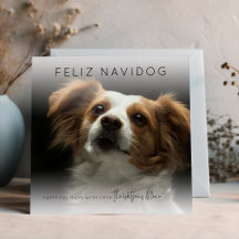 Diversión Feliz Navidog | Navidades de fotografía