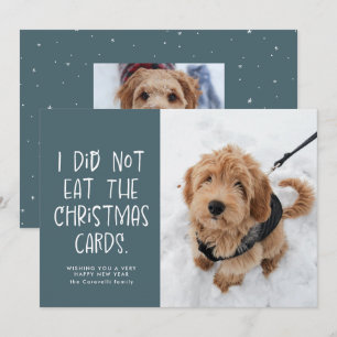 Tarjeta Festiva Divertida foto de mascota linda azul claro Año Nue