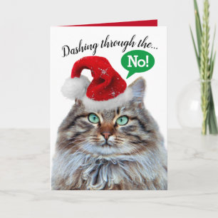 Tarjeta Festiva Divertido chirrido por el gato de la nieve