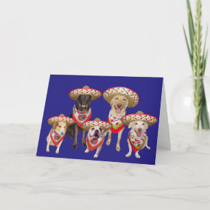 Tarjeta Festiva Divertido cumpleaños español de un grupo
