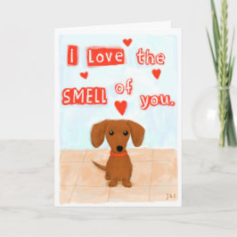 Tarjeta Festiva Divertido Dachshund Amor El día de San Valentín Co