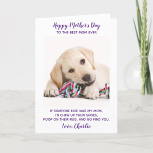 Tarjeta Festiva Divertido Día de la Madre de fotografía Mascota pe