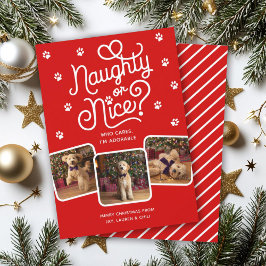 Tarjeta Festiva Divertido o Bueno Foto Divertida Lindo Perro Gato 