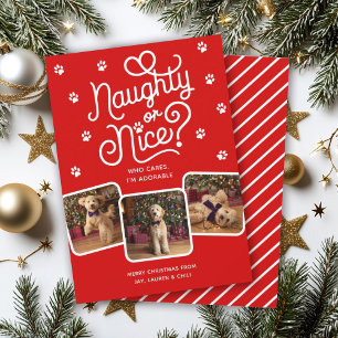 Tarjeta Festiva Divertido o Bueno Foto Divertida Lindo Perro Gato