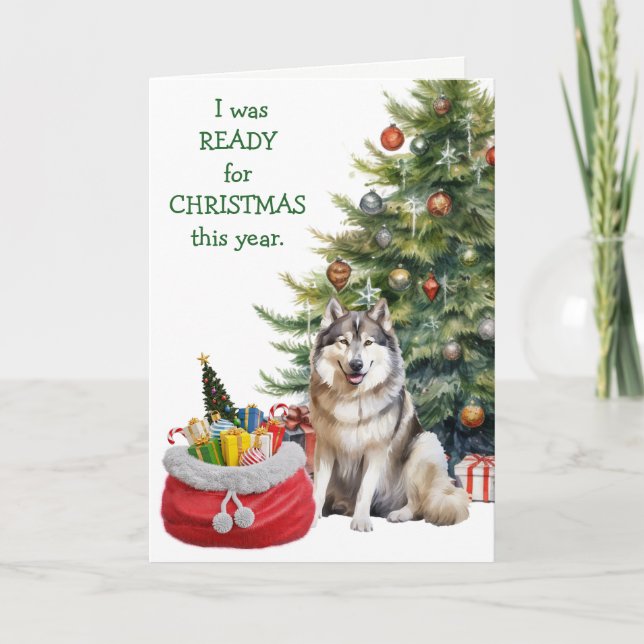 Tarjeta Festiva Divertido perro malamute listo para Navidades (Anverso)