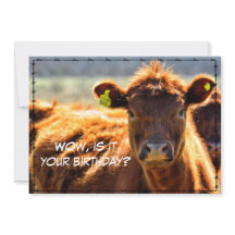 Divertidos cuentos de granja para cumpleaños felic