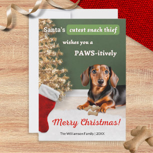Tarjeta Festiva Divertidos Navidades de Dachshund Dog Snack Thief