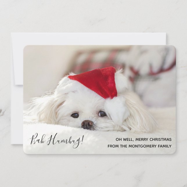 Tarjeta Festiva Divertidos Navidades de Perro Blanco Bah Humbug (Anverso)