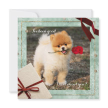 Divertidos Navidades de Pomerania He sido una buen