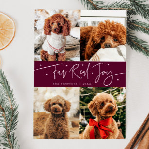 Tarjeta Festiva Diviértete Fur Real Joy Foto de Perro Arándano Nav