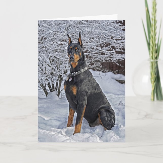 Tarjeta Festiva Doberman Frosty Morning (Anverso)