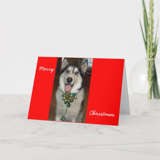 Tarjeta Festiva Doc. (Anverso)