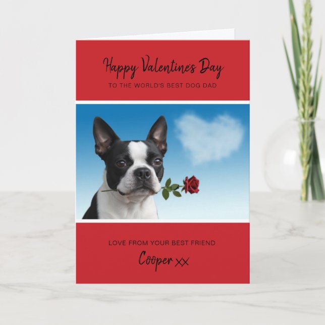 Tarjeta Festiva Dog Dad Valentine From Boston Terrier Holding Rose (Anverso)