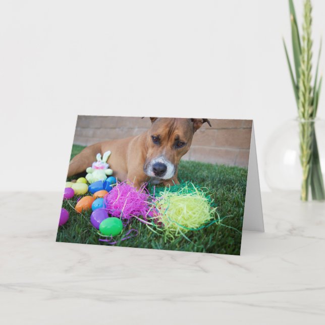 Tarjeta Festiva Dog Easter Card (Anverso)