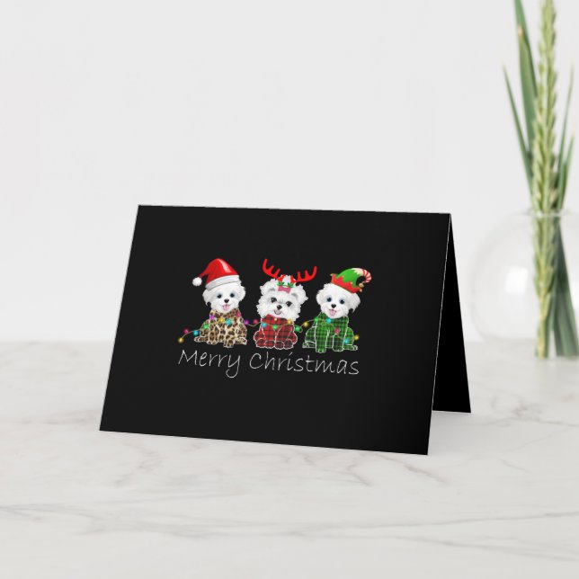 Tarjeta Festiva Dog Lover | Maltés navideño (Anverso)