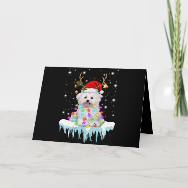 Tarjeta Festiva Dog Lover |Navidades Malteses Fairy Light In Winte (Anverso)
