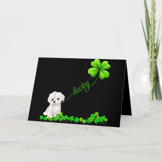 Tarjeta Festiva Dog Lover | Shamrock irlandés con suerte con malté (Anverso)