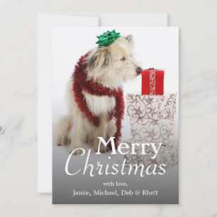 Tarjeta Festiva Dog with Decorations and Presents